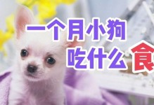 20天大的小狗吃什么吐什么的原因（了解小狗呕吐的常见原因及预防方法）