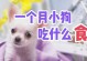 20天大的小狗吃什么吐什么的原因（了解小狗呕吐的常见原因及预防方法）