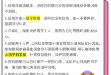 新买回来的幼犬需要的7项注意事项（如何照顾刚到家的幼犬？）