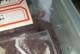 养蜘蛛的必备条件与物品（了解如何提供合适的环境与食物给你的蜘蛛宠物）