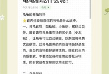 乌龟为什么不吃东西？（探究乌龟不吃东西的原因及解决方法）