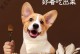 狗吃鸡肉的注意事项（让你的爱犬健康享用鸡肉美食）