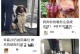 狗狗头部发育异常，症状及治疗方法（了解狗狗头部发育异常的常见症状和应对方法）