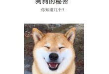 狗狗饮食的讲究——合理的喂养量是关键（了解狗狗的饮食需求，健康无忧享美食）