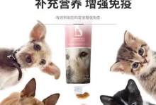狗狗怀孕多久需要加营养？（了解狗狗怀孕期间的饮食需求和注意事项）