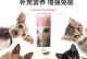 狗狗怀孕多久需要加营养？（了解狗狗怀孕期间的饮食需求和注意事项）