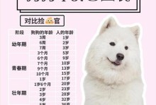 掌握狗狗年龄与体重的标准（了解不同年龄段狗狗的体重发展趋势与关键时期）