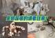 狗狗长耳螨的症状及治疗方法（了解狗狗长耳螨的症状与预防措施）