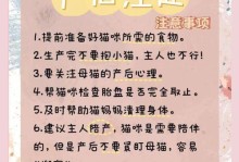 怀孕多久可以养猫？（了解适合怀孕期间养猫的最佳时间和注意事项）