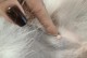 小狗乳腺炎的常见症状与治疗方法（掌握小狗乳腺炎的症状，及时防治乳腺疾病）