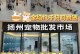金毛犬价格影响因素解析（探究金毛犬价格的主要决定因素）