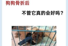 狗狗骨折后如何科学补充营养（为狗狗伤愈提供全面的饮食保障）