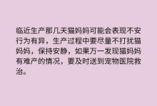 如何判断猫咪怀孕的时间？（通过触摸如何摸出猫咪是否怀孕？）