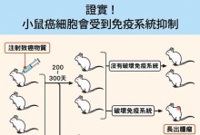 日本田鼠饲养方法详解（了解田鼠饲养技巧，让它们健康快乐成长）