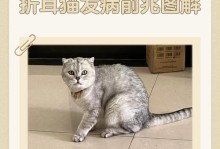 揭秘三个月折耳猫隐藏病（探寻折耳猫的疾病隐患，助力宠物健康成长）