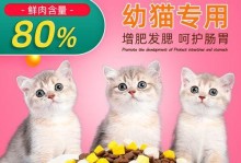 没断奶的小猫应该吃什么？（以宠物为主，营养均衡的饮食是关键）