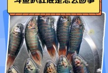 斗鱼为何吐出大量泡泡？（泡泡危机的原因和影响）