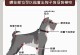 宠物狗预防蜱虫攻击的有效方法（保护你的爱犬免受蜱虫侵害的技巧与建议）