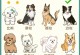 狗狗大姨妈来多久？（了解狗狗生理周期，更好地照顾你的宠物）