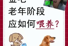 老年犬的科学喂养指南（营养均衡的饮食和合适的饮水量）