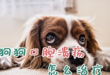 狗狗嘴巴溃烂