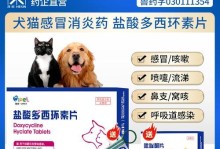 猫坠楼后急救药物的选择与应用（保护猫咪的关键——选择正确的急救药物）
