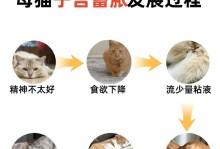 母猫引产的时间长度及注意事项（以母猫引产需要多长时间？如何正确照顾母猫引产？）