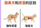 猫鼻支与感冒的区别及（猫鼻支是什么，症状与治疗；感冒与猫鼻支的异同）
