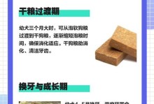 幼犬喂养全攻略（从出生到成年，关注这些关键点！）