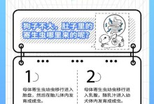 狗狗的寄生虫问题解析（为什么狗狗容易受到寄生虫侵害？）