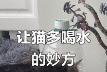 猫咪饮水量合理的重要性（猫咪不爱喝水可能引发的问题及解决方法）