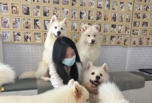 人们为什么喜欢狗？（探索狗的魅力与人类的亲密关系）