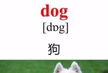 狗的英文是什么？（探索狗在英语中的称呼）