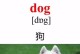 狗的英文是什么？（探索狗在英语中的称呼）