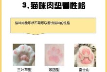 猫咪脚臭的原因及解决方法（探究猫爪子散发臭味的原因和如何处理，了解猫咪脚臭的注意事项）