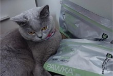 关于猫咪的饮食选择——以可以舔毛吃猫粮为例（了解小猫猫粮的选择和喂养技巧）