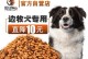 苏牧犬孕期的护理（全面关注孕妇犬的健康与幸福）