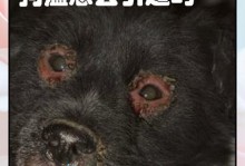 犬瘟热（了解犬瘟热，守护宠物健康）
