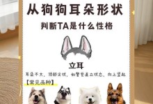 狗狗耳朵异味问题解决方法（治疗狗狗臭耳朵的好用药物推荐）