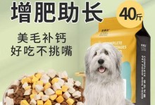 喂古牧犬吃什么？美毛秘诀大揭秘（以宠物为主，让你的古牧犬毛发更光滑柔顺）