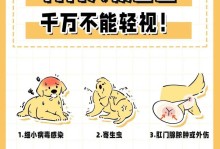幼犬排便频率（掌握幼犬排便习惯，关爱宠物健康）