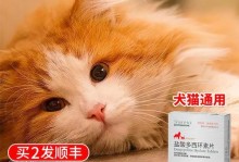 小猫打喷嚏流鼻水，该如何应对？（宠物鼻炎的治疗与预防）