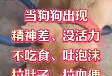 小狗翻肠子的最佳治疗方法（保持良好卫生习惯，有效预防小狗翻肠子的发生）