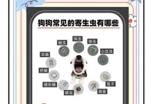 狗狗驱虫攻略（了解常见寄生虫种类，保护狗狗健康）