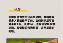 泰迪能不能吃盐？（探究泰迪狗是否适合食用盐以及对泰迪健康的影响）