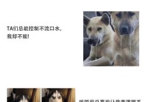 狗流口水的原因及解决方法（揭开狗流口水的真相，让你的宠物健康快乐）