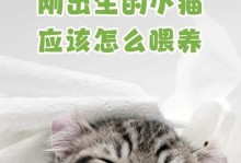 小猫不喝奶粉的危险（探究小猫不喝奶粉的原因、如何解决和防范）