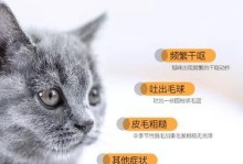 猫咪饮食健康指南