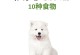 狗狗的孩子还吃什么？（探索狗狗宝宝的饮食需求与适宜食品）