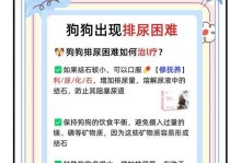 揭秘狗狗尿床的原因（了解狗狗尿床的真相，关注最后一个原因）